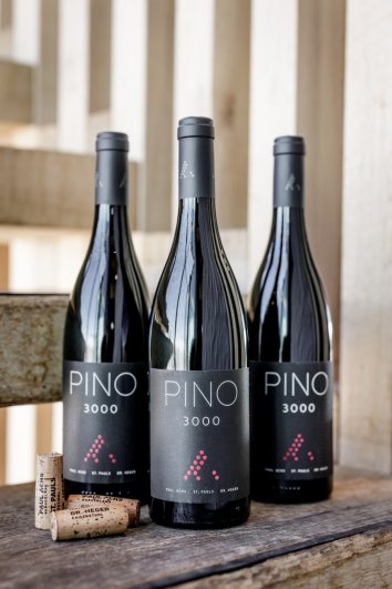 PINO 3000 - der weltweit einzige 3-Länder-Wein