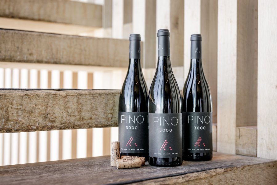 Dreiländer-Wein PINO 3000 am Gaislachkogl in Sölden