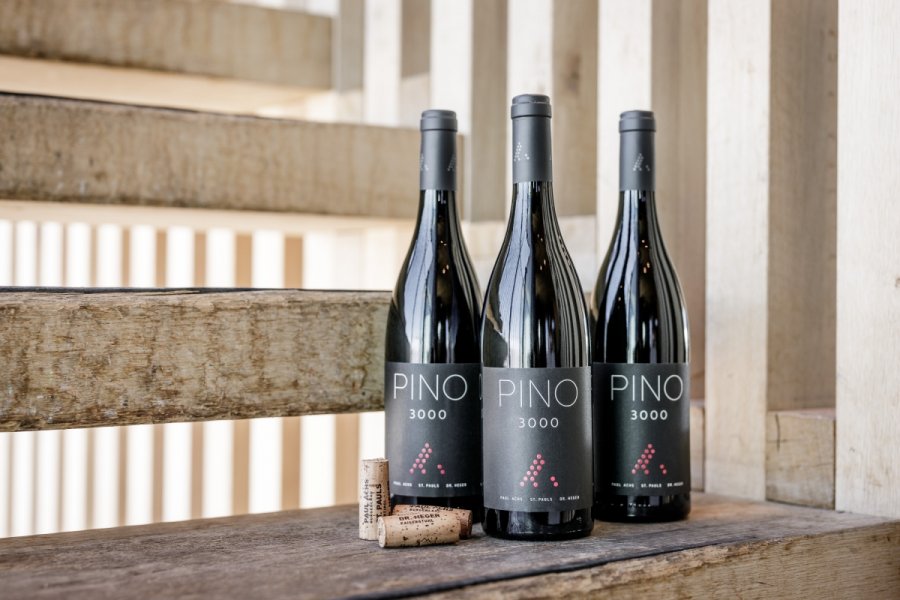 Wine PINO 3000 on the Gaislachkogl